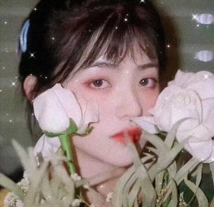 芭蕾彗星尼真斯基